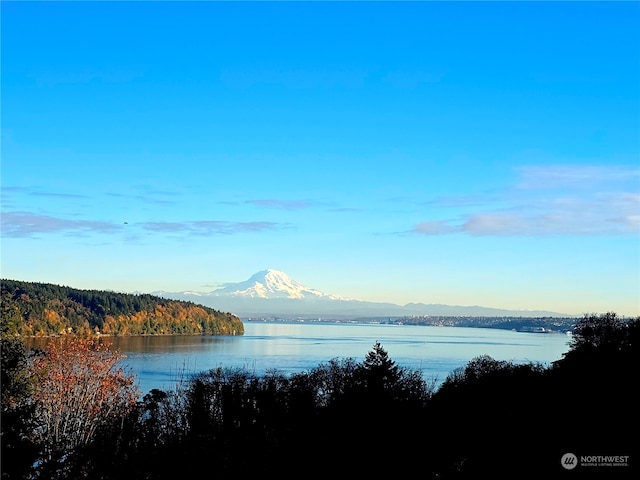 water view with a mountain view