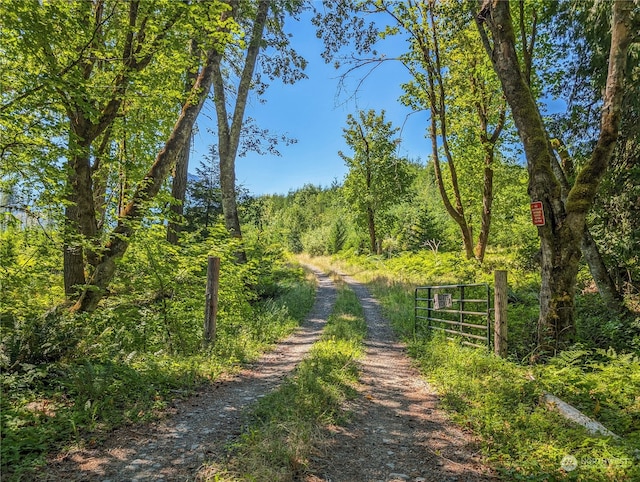 294 Hardy Ln, Packwood, WA 98361