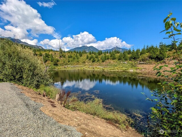 294 Hardy Ln, Packwood, WA 98361