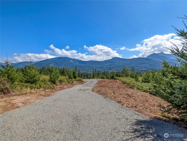 294 Hardy Ln, Packwood, WA 98361
