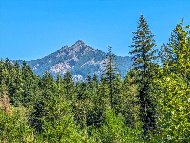 294 Hardy Ln, Packwood, WA 98361