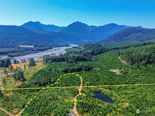 294 Hardy Ln, Packwood, WA 98361