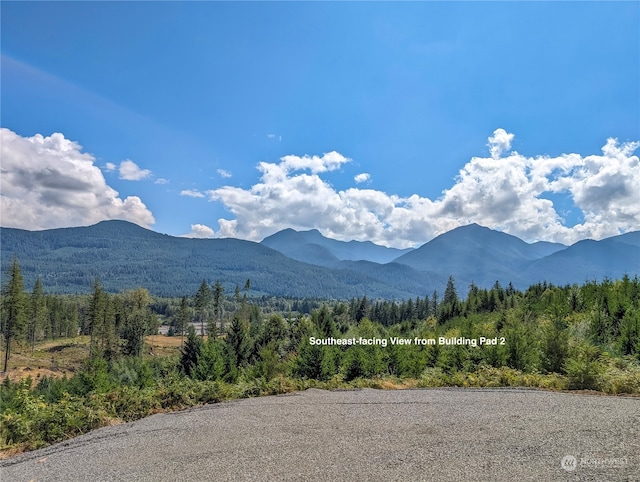 294 Hardy Ln, Packwood, WA 98361