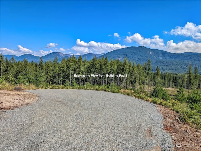 294 Hardy Ln, Packwood, WA 98361