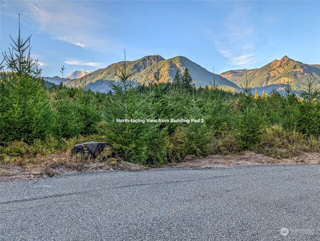 294 Hardy Ln, Packwood, WA 98361