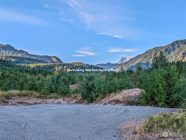 294 Hardy Ln, Packwood, WA 98361
