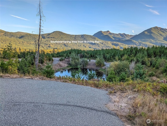 294 Hardy Ln, Packwood, WA 98361