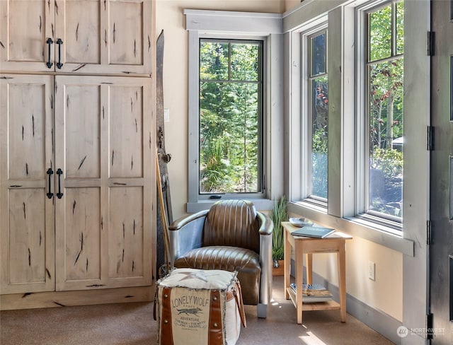 sitting room with light carpet and plenty of natural light