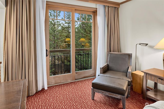 living area featuring carpet floors