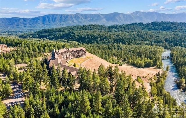 drone / aerial view with a mountain view