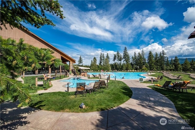 view of pool with a yard