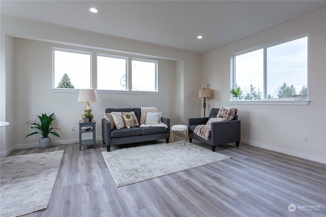 living room with light hardwood / wood-style flooring