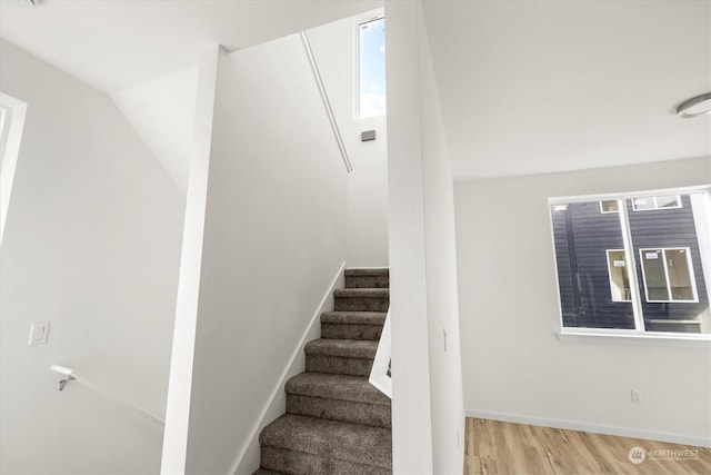 staircase with hardwood / wood-style floors