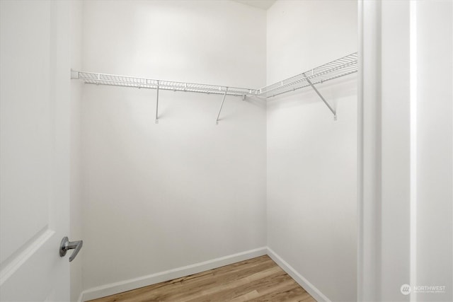 walk in closet featuring hardwood / wood-style flooring