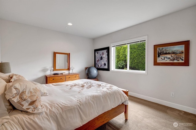 bedroom with carpet