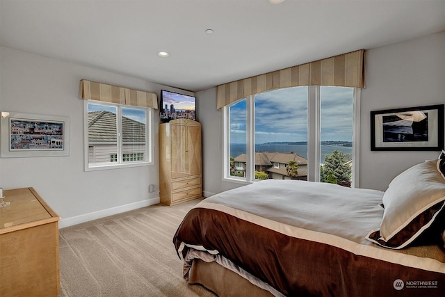 carpeted bedroom with multiple windows