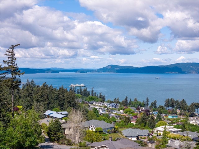 2907 17th St, Anacortes WA, 98221 land for sale