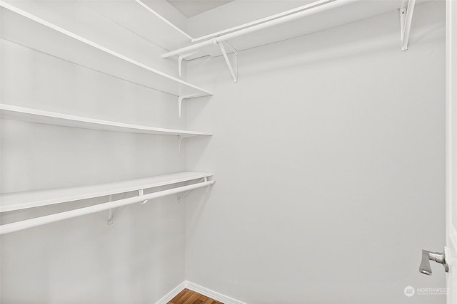 spacious closet with hardwood / wood-style flooring