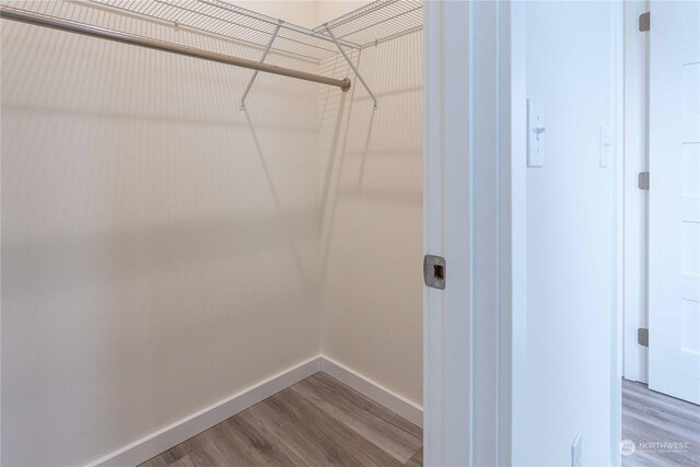 spacious closet featuring hardwood / wood-style floors