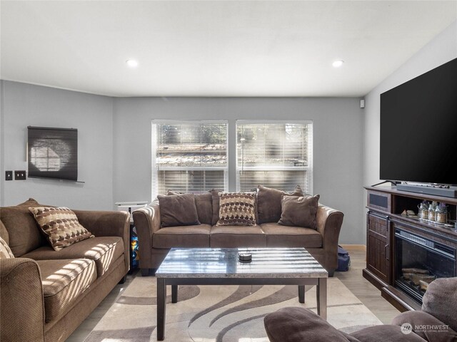 living room with light wood-type flooring and a wealth of natural light