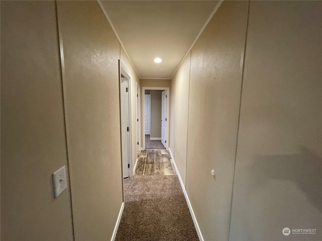 corridor featuring crown molding and carpet