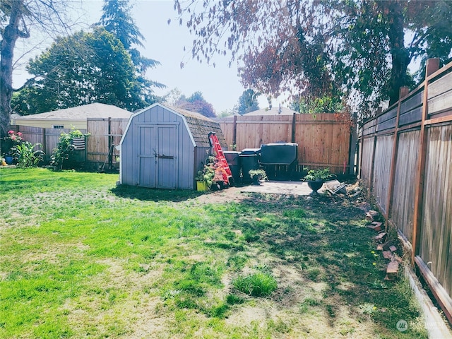 view of yard featuring a storage unit