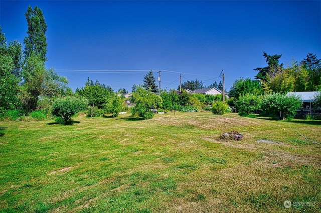 15322 66th Ave E, Puyallup, WA 98375 - photo 7