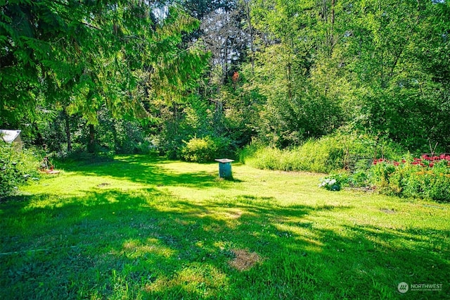 15322 66th Ave E, Puyallup, WA 98375 - photo 30