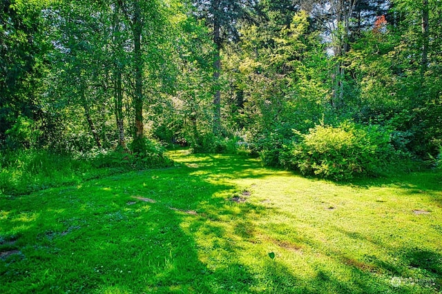 15322 66th Ave E, Puyallup, WA 98375 - photo 31