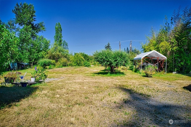 view of yard with an outdoor structure