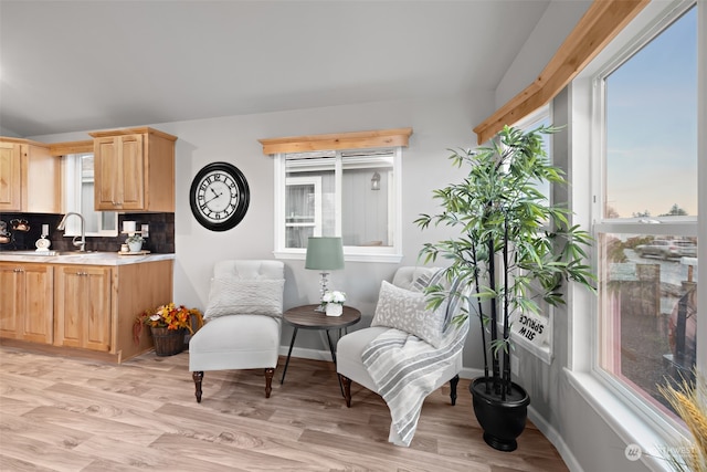 living area with light hardwood / wood-style flooring, plenty of natural light, and sink