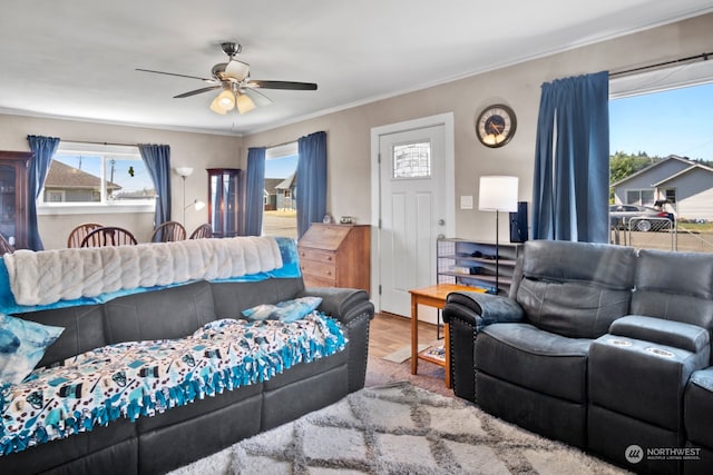 bedroom featuring ornamental molding, wood-type flooring, and ceiling fan