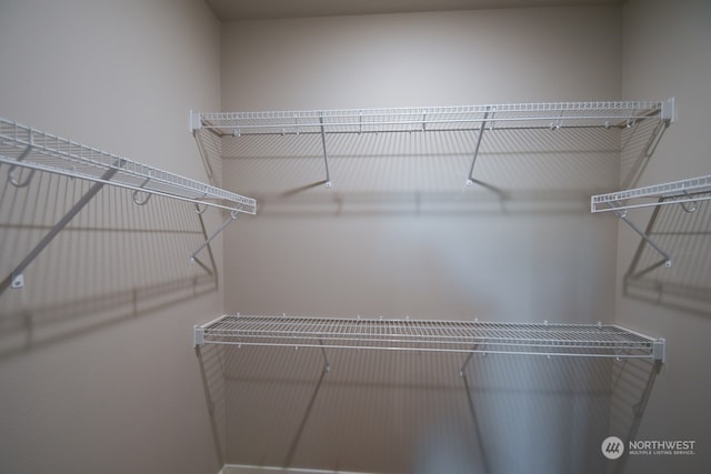 view of walk in closet