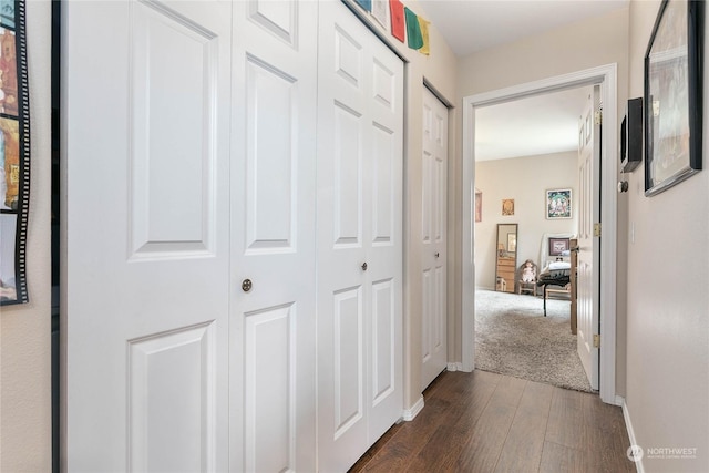 corridor featuring dark wood-type flooring