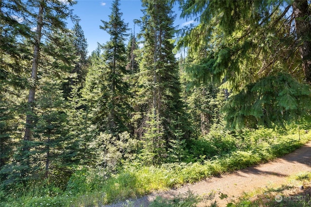 291 Spoke Ln, Cle Elum, WA 98922 - photo 28