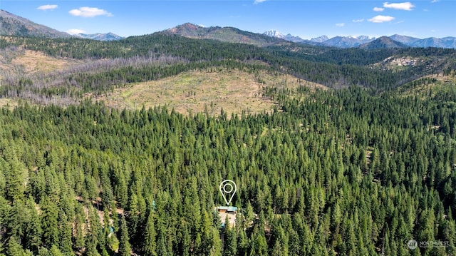 291 Spoke Ln, Cle Elum, WA 98922 - photo 29