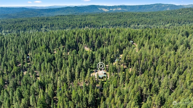 291 Spoke Ln, Cle Elum, WA 98922 - photo 30