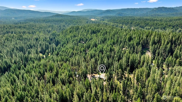 291 Spoke Ln, Cle Elum, WA 98922 - photo 31