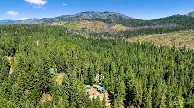 291 Spoke Ln, Cle Elum, WA 98922 - photo 32