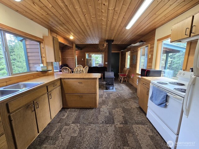 291 Spoke Ln, Cle Elum, WA 98922 - kitchen with a wood stove, electric range, wooden walls, wooden ceiling, and a peninsula