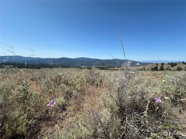 25 Harvest Moon Ln, Tonasket WA, 98855 land for sale