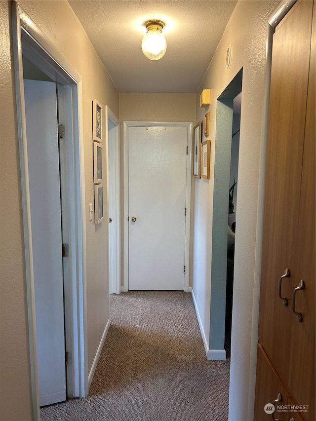 hallway featuring carpet flooring and a textured ceiling