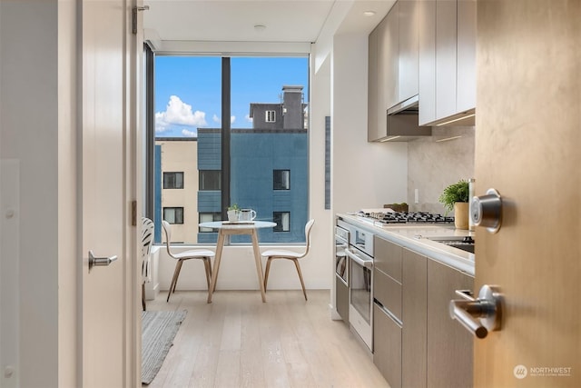 kitchen featuring backsplash, light hardwood / wood-style flooring, and stainless steel appliances