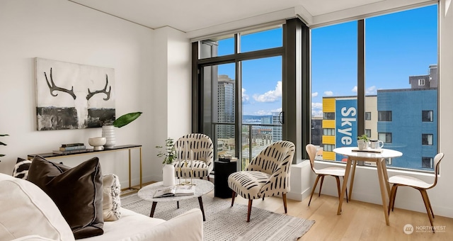 living area with expansive windows, plenty of natural light, and light wood-type flooring