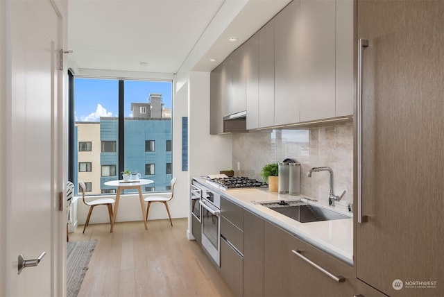 kitchen featuring tasteful backsplash, appliances with stainless steel finishes, sink, and light hardwood / wood-style floors