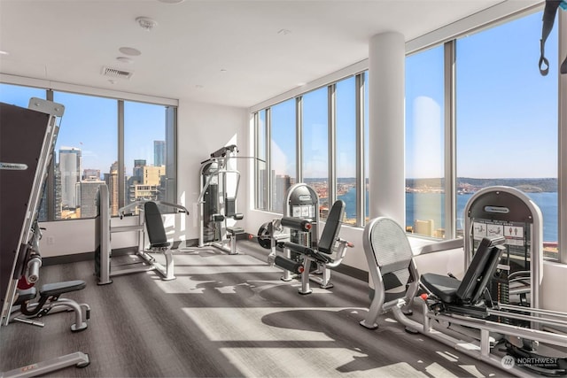 workout area featuring a water view and carpet floors