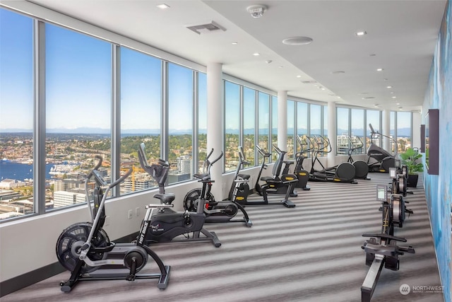 exercise room featuring a wealth of natural light and a water view