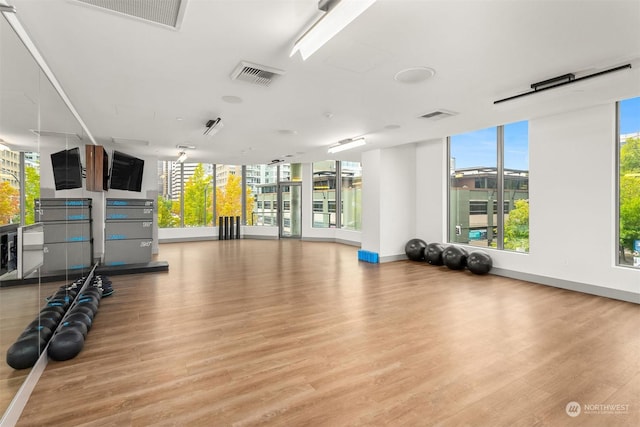 workout area featuring plenty of natural light and light hardwood / wood-style flooring