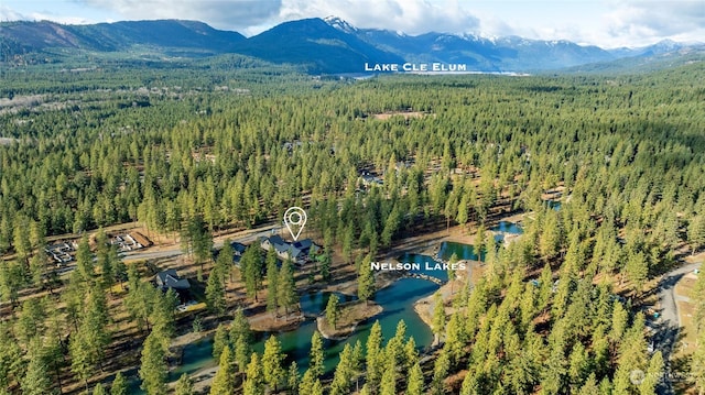 1791 Wanawish Loop, Cle Elum, WA 98922 - aerial view of a forest and a water and mountain view