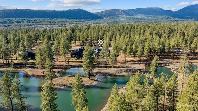 1791 Wanawish Loop, Cle Elum, WA 98922 - bird's eye view of a heavily wooded area and a mountain backdrop